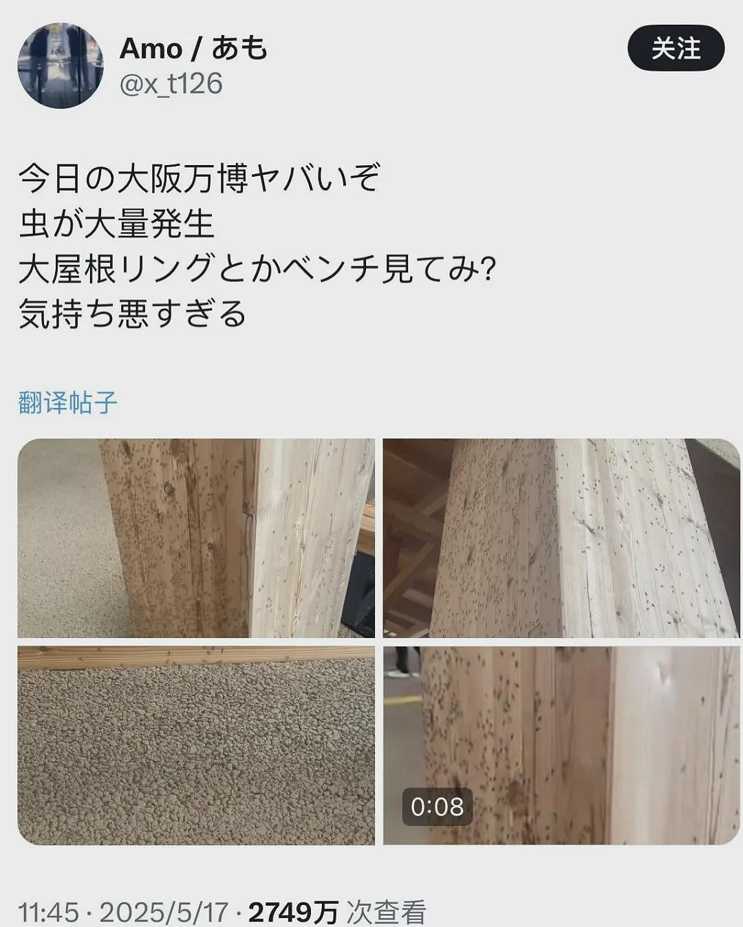 慎点！日本世博会惊现虫群，场馆内外爬满虫子，游客被吓到四处逃窜（视频/组图） - 4