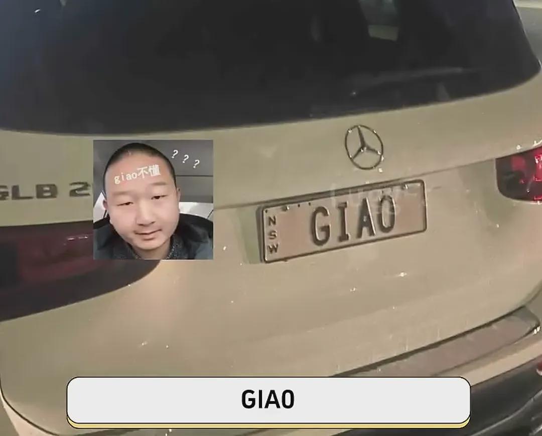 在美国,中国人的车牌充满拉丁新语和阴阳八卦(组图) - 3