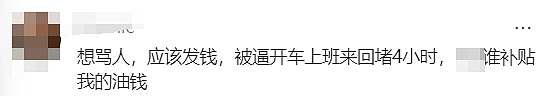 悉尼华人暴走10公里回家！新州州长：下周一全部免费！（组图） - 21