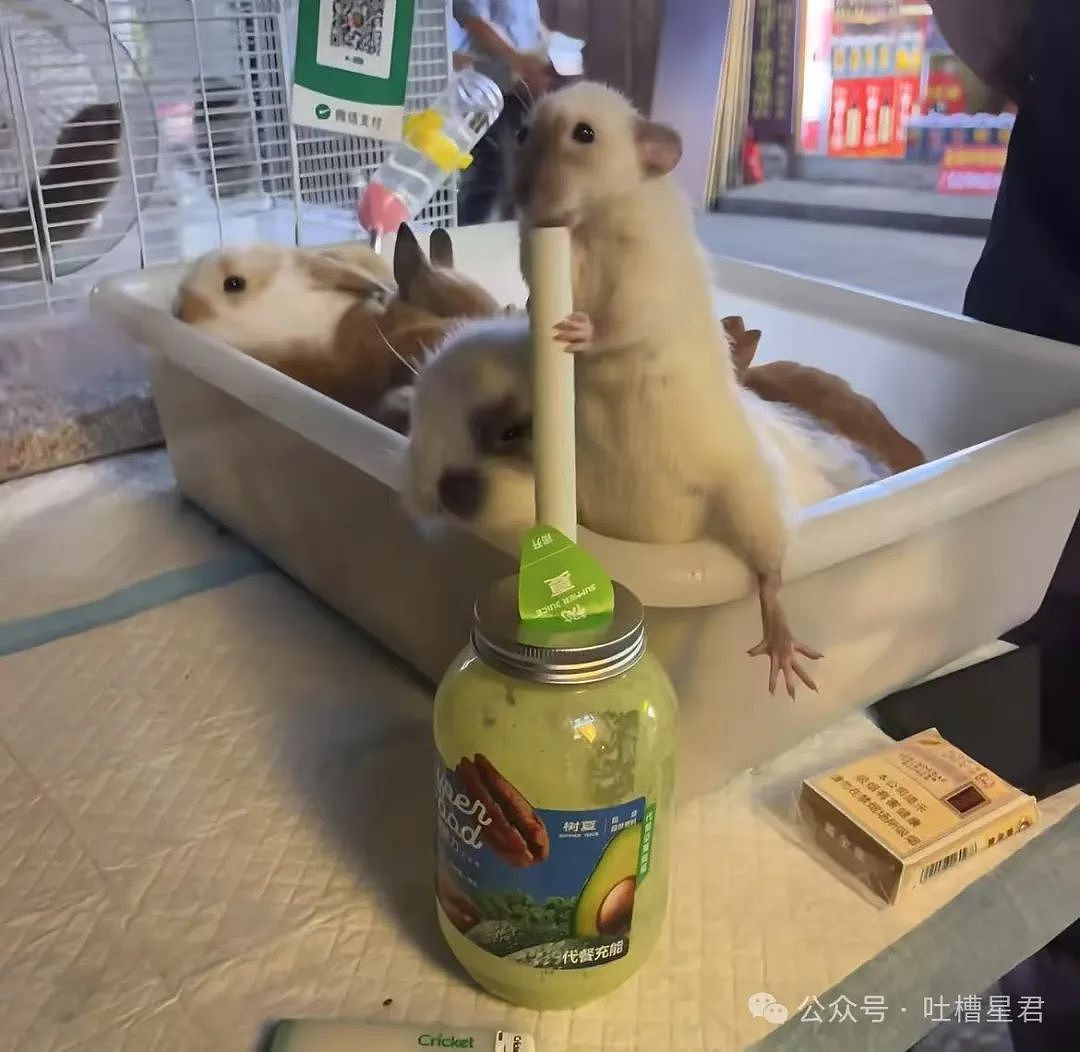 【爆笑】从相亲对象嘴里吃到了自己的瓜...?网友震惊:在公司里也算个人物了(组图) - 29