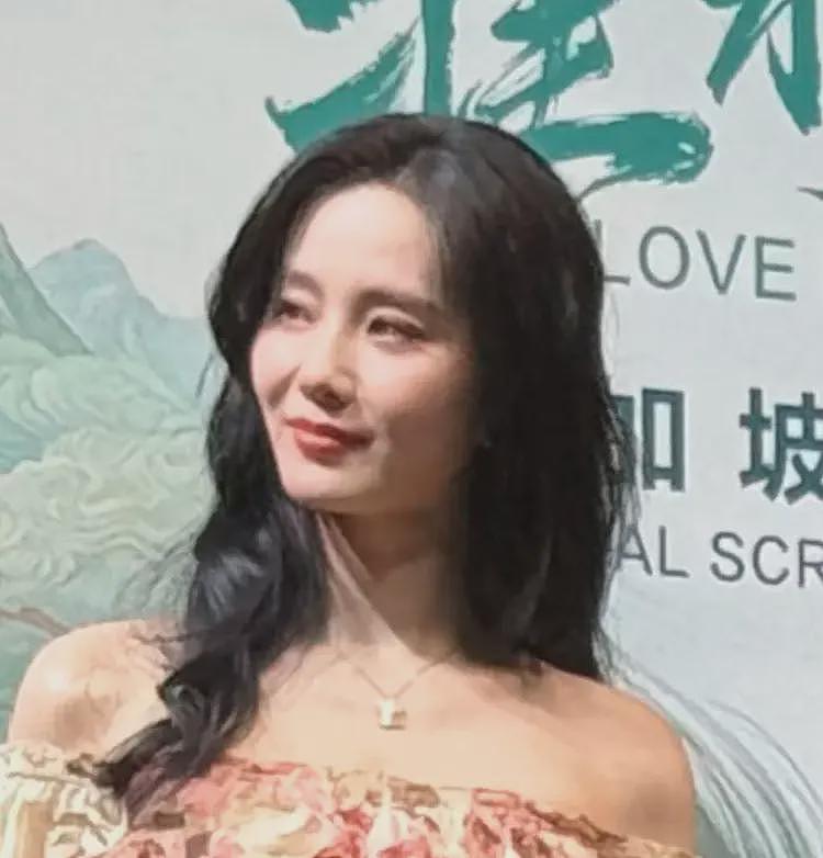 网传刘诗诗吴奇隆离婚，两人已在北京律所办财产分割，女方老粉证实（组图） - 12