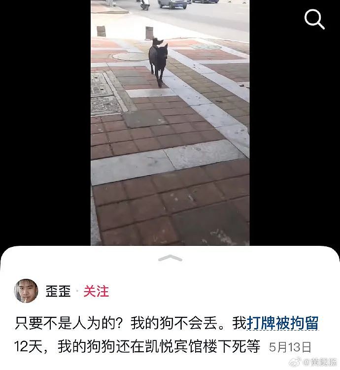 【爆笑】巴黎世家1w+的脚趾隐身鞋？网友迷惑：有钱人都玩那么抽象么（组图） - 28