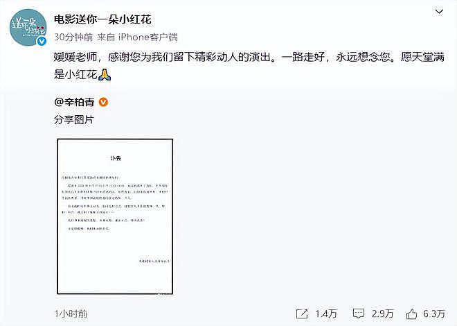 朱媛媛癌逝群星悼念,姚晨、马伊琍悲痛喊话,最后发文晒遗作(组图) - 8