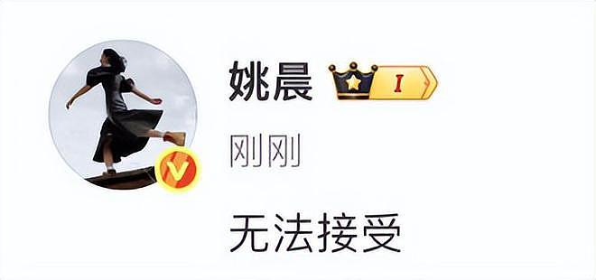 朱媛媛癌逝群星悼念,姚晨、马伊琍悲痛喊话,最后发文晒遗作(组图) - 6