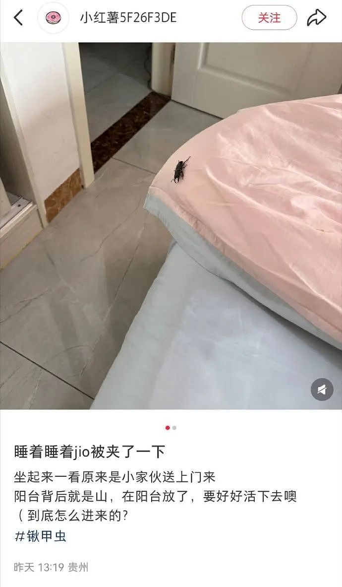 【爆笑】巴黎世家1w+的脚趾隐身鞋？网友迷惑：有钱人都玩那么抽象么（组图） - 37