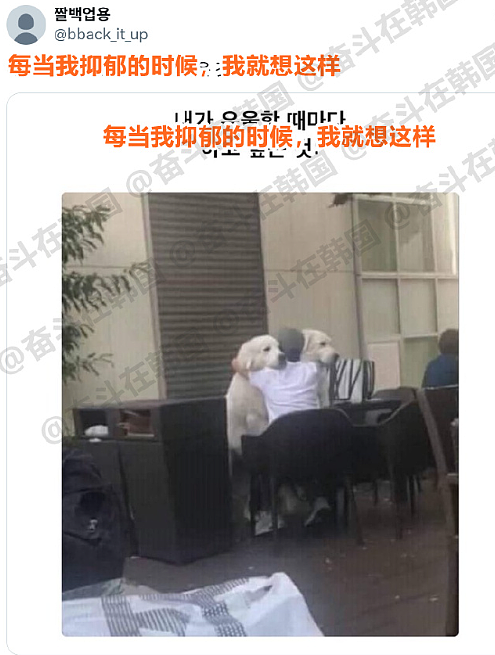 【爆笑】巴黎世家1w+的脚趾隐身鞋？网友迷惑：有钱人都玩那么抽象么（组图） - 41