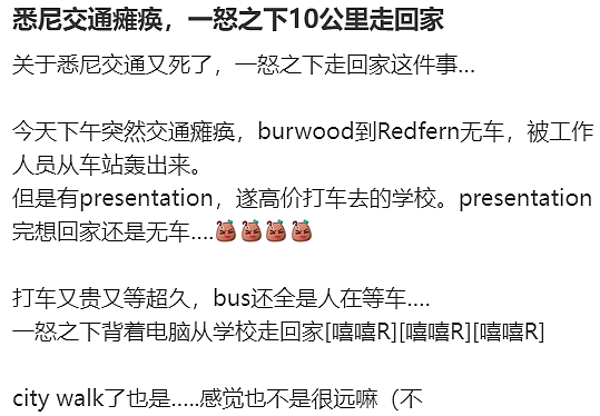 悉尼华人暴走10公里回家！新州州长：下周一全部免费！（组图） - 5