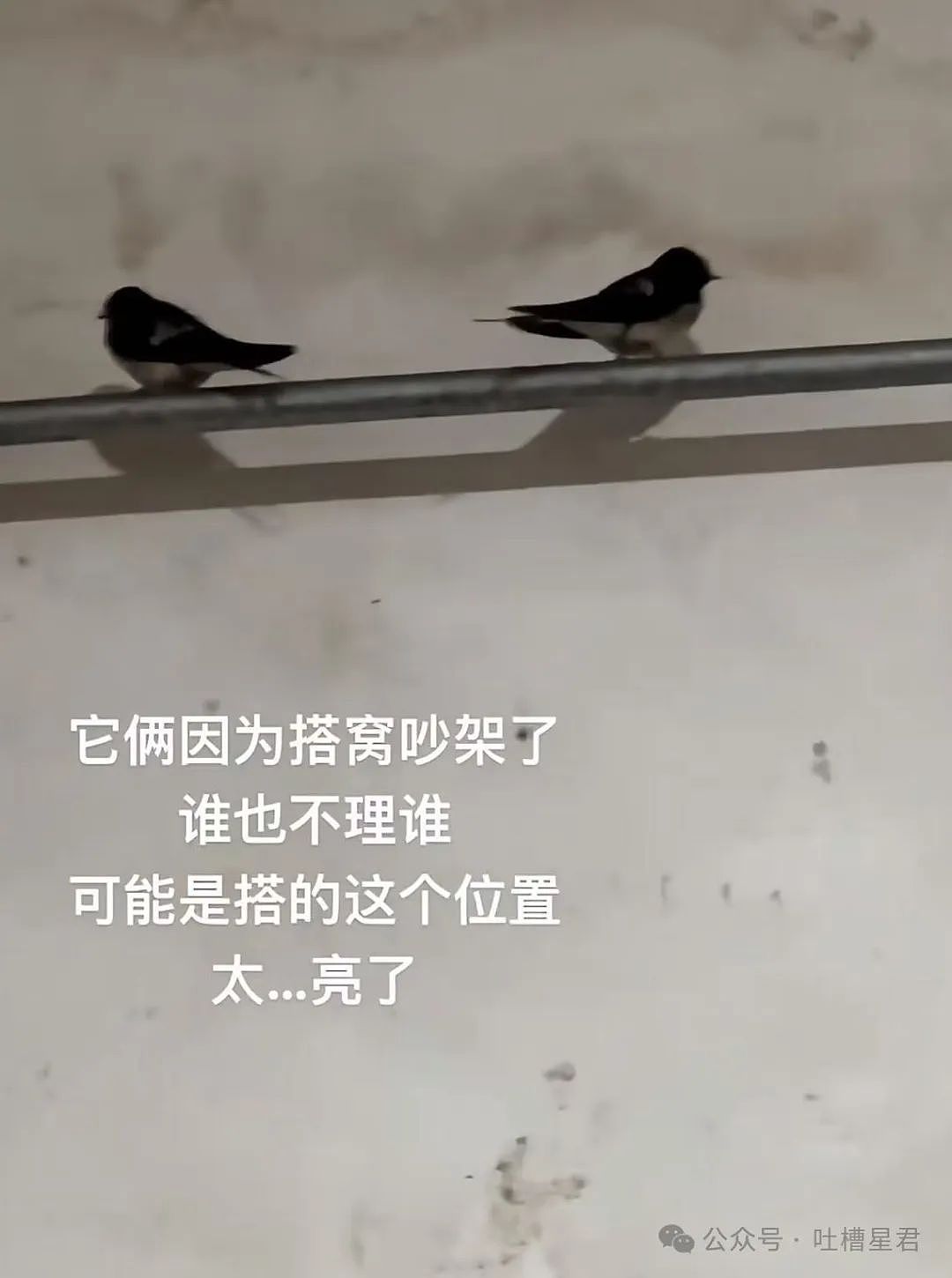 【爆笑】从相亲对象嘴里吃到了自己的瓜...?网友震惊:在公司里也算个人物了(组图) - 31