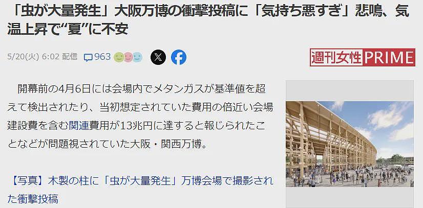慎点！日本世博会惊现虫群，场馆内外爬满虫子，游客被吓到四处逃窜（视频/组图） - 3
