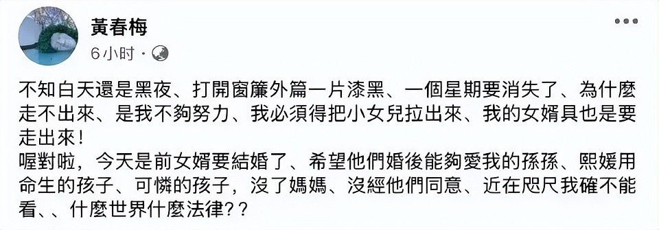 和马筱梅聊天记录曝光，S妈的3大谎言被戳破，拿亲情做铺垫，张口闭口都是钱（组图） - 6