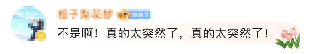 送你一朵小红花！朱媛媛，再见了（组图） - 9