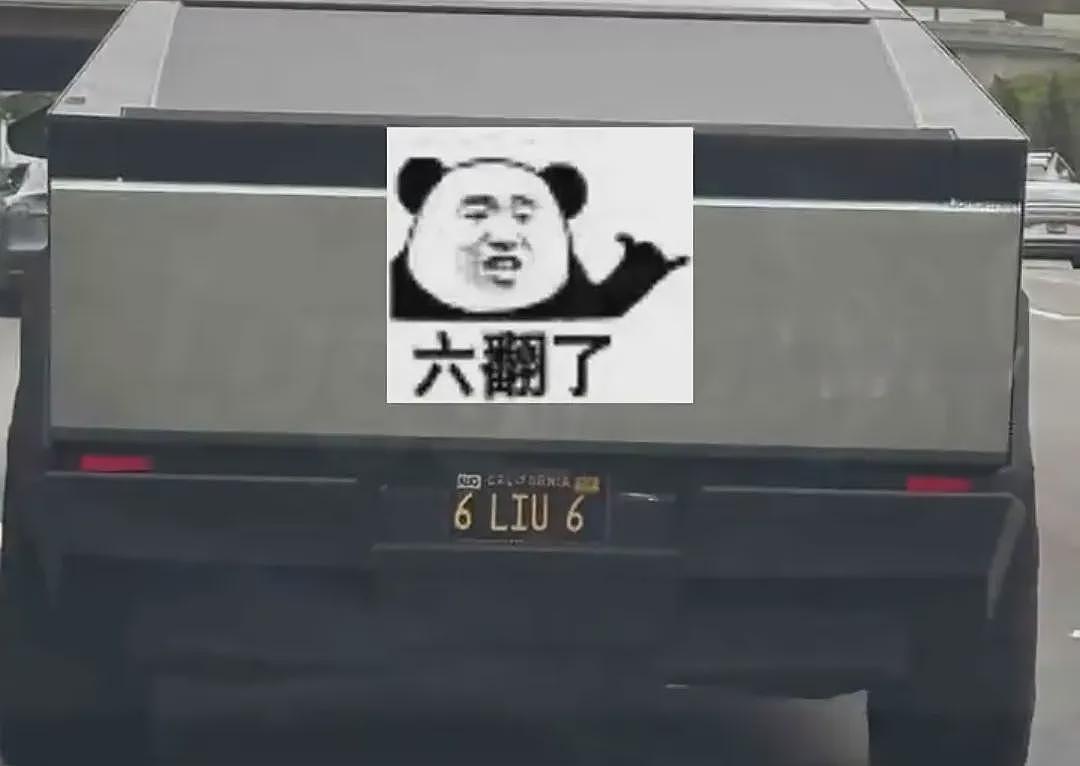 在美国,中国人的车牌充满拉丁新语和阴阳八卦(组图) - 4