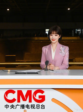 把两岸说成“两国”！央视美女主播胡蝶曾严重口误，称“小儿骂B症”（组图） - 1