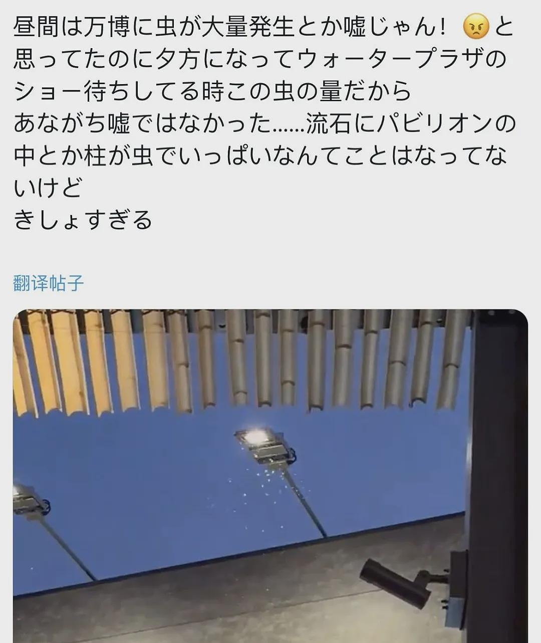 慎点！日本世博会惊现虫群，场馆内外爬满虫子，游客被吓到四处逃窜（视频/组图） - 20