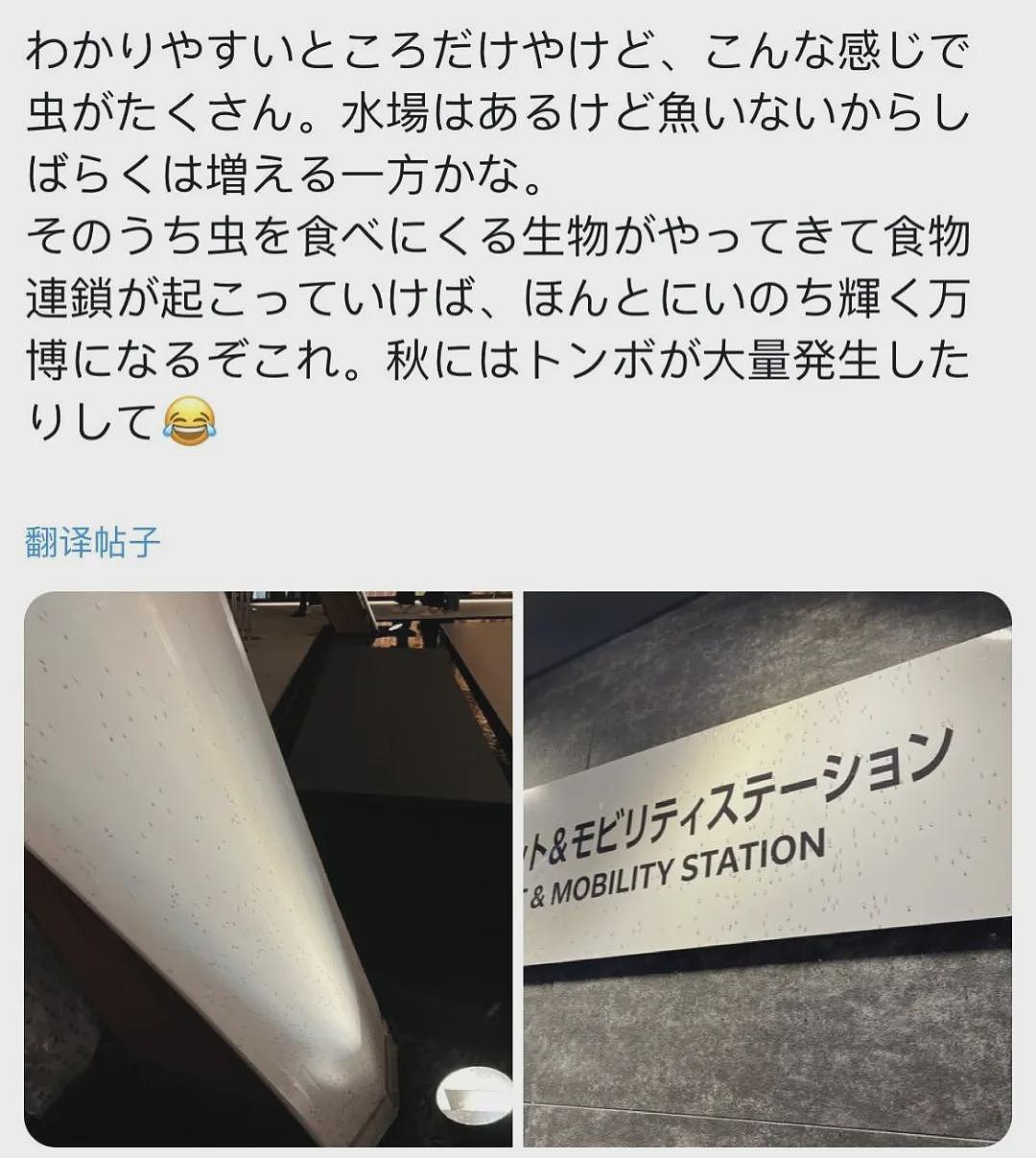 慎点！日本世博会惊现虫群，场馆内外爬满虫子，游客被吓到四处逃窜（视频/组图） - 15