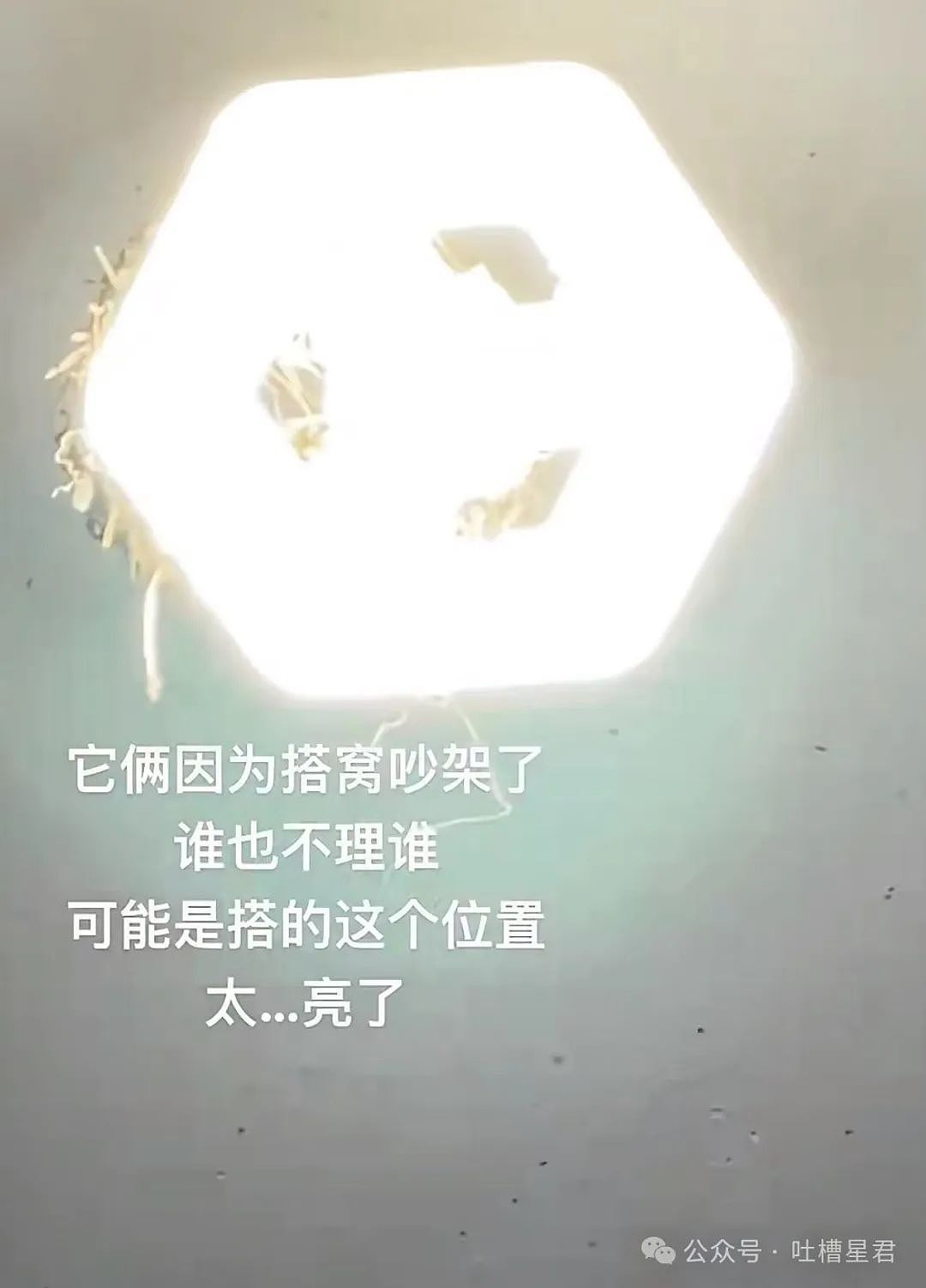 【爆笑】从相亲对象嘴里吃到了自己的瓜...?网友震惊:在公司里也算个人物了(组图) - 32