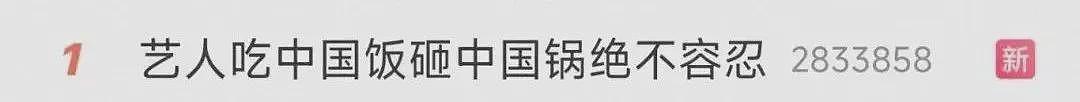 新加坡女艺人被传“辱华”事件反转，前助理承认录音系恶意剪辑（组图） - 7