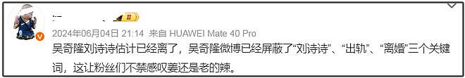 刘诗诗吴奇隆要官宣离婚了？年初商业切割干净，男方半夜上线观望（组图） - 16