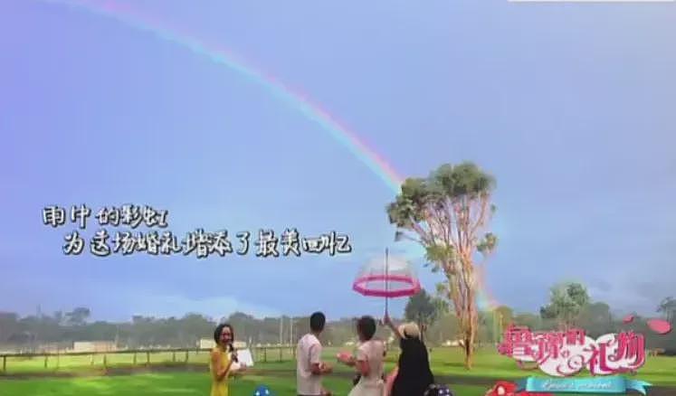 51岁朱媛媛突然离世,丈夫辛柏青发讣告:结婚19年,零绯闻,不出轨,恩爱一生,挚爱永别...(组图) - 41