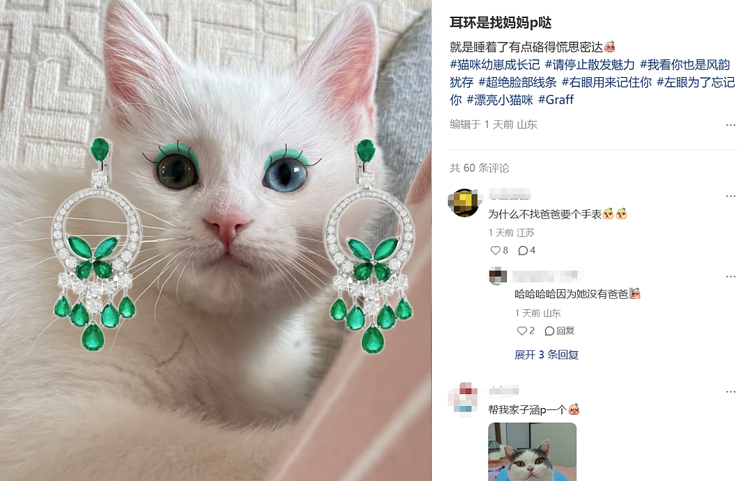 有火彩才是真钻？女明星“成人礼戴230万耳环”罗生门，让全网学起珠宝鉴定（组图） - 6