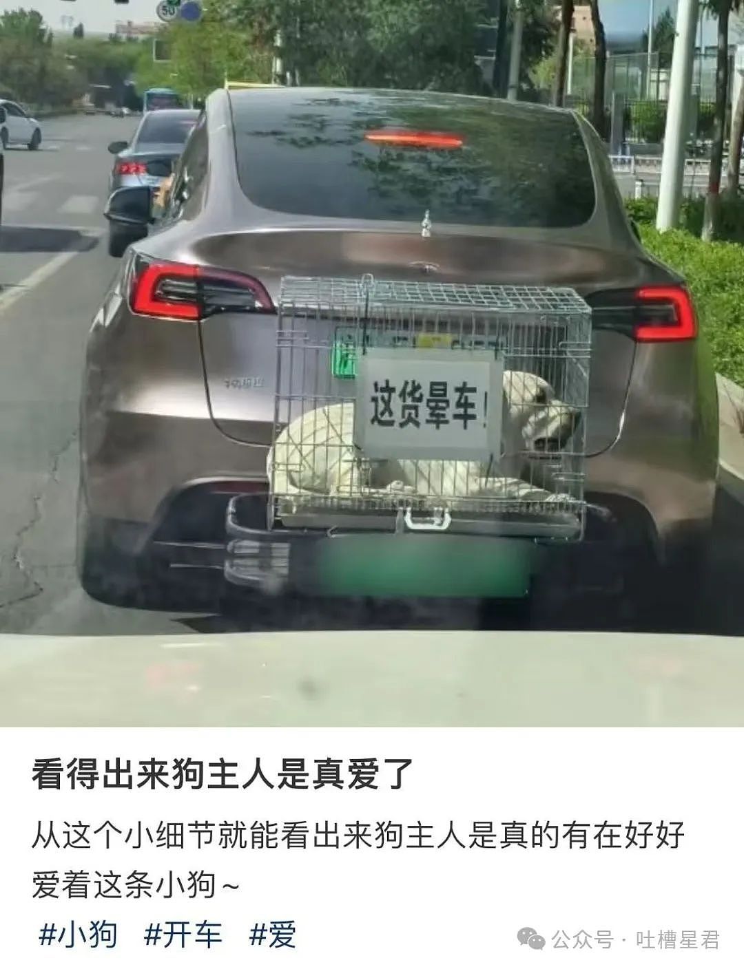 【爆笑】从相亲对象嘴里吃到了自己的瓜...?网友震惊:在公司里也算个人物了(组图) - 36