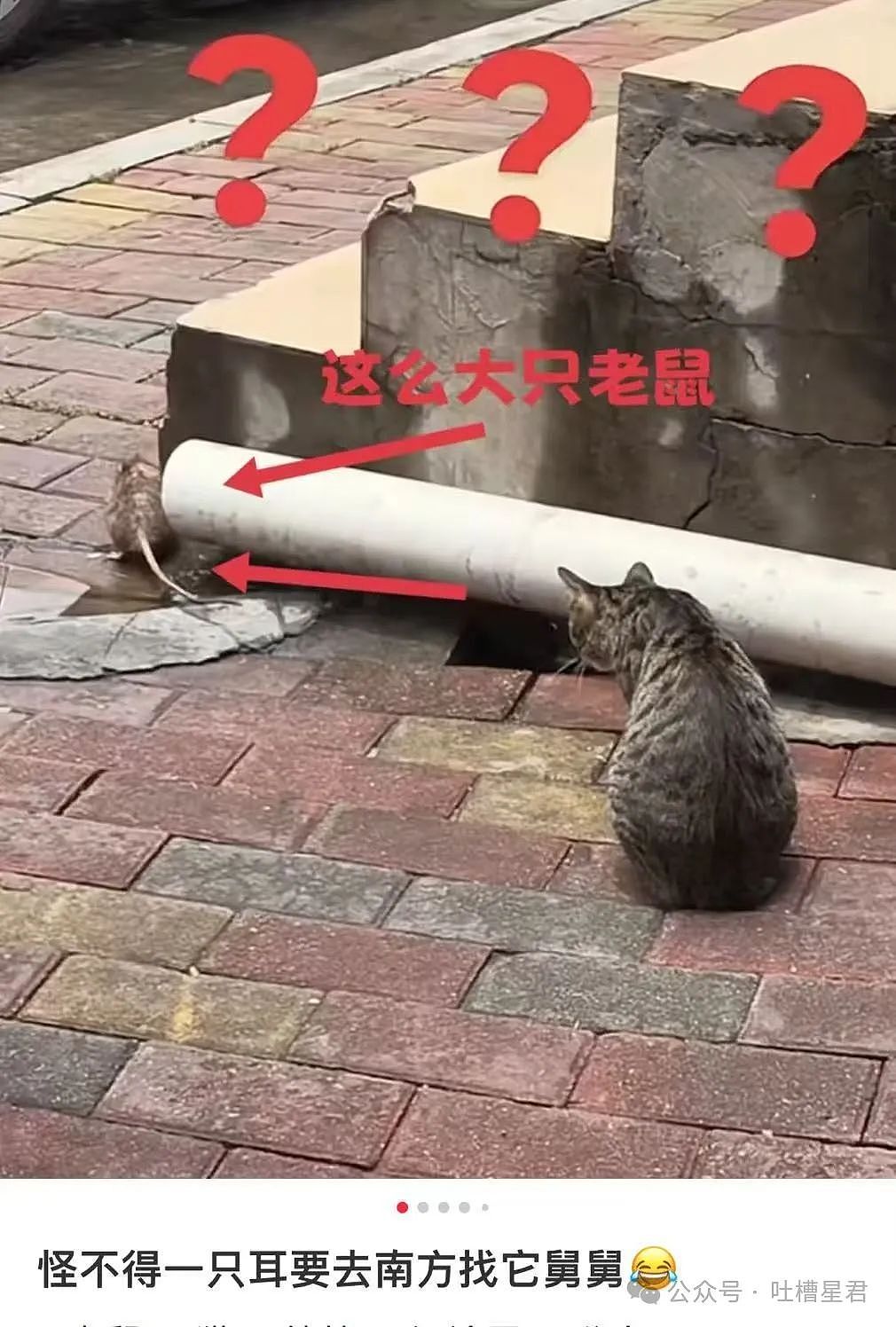 【爆笑】从相亲对象嘴里吃到了自己的瓜...?网友震惊:在公司里也算个人物了(组图) - 13