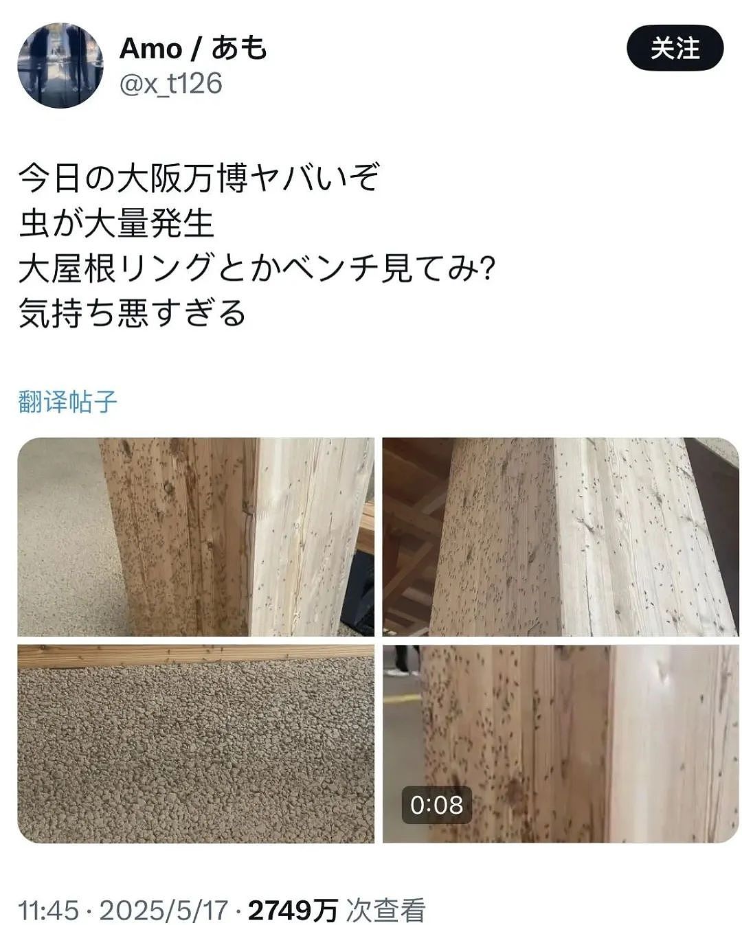 密密麻麻！大阪世博会蚊虫满天飞满地爬，法国馆展品都爬满了，游客一张嘴就吃蛋白质...（组图） - 4