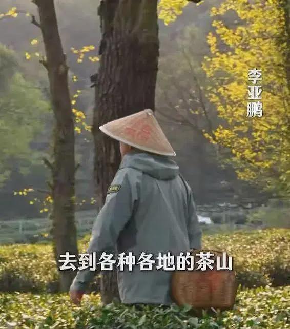 李亚鹏自曝曾是亿万富翁，做了4个公益机构，欠债还在还，没贷款（组图） - 28