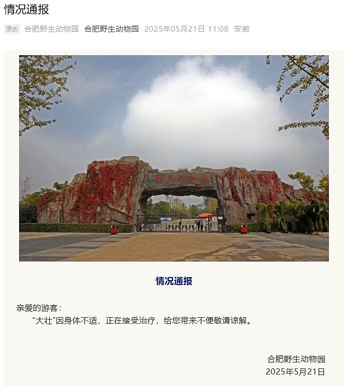 国字脸猴“大壮”去世 曾因方脸“丑”出圈(组图) - 1