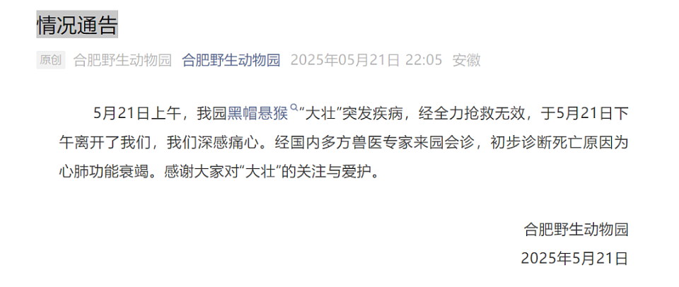 知名网红突发疾病离世！这个月刚火上热搜，网友：内心久久不能平静（组图） - 2