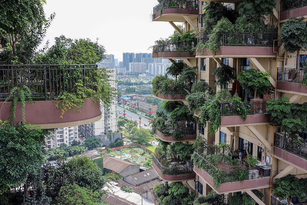 成都为何成了中国“最有幸福感城市”(组图) - 2