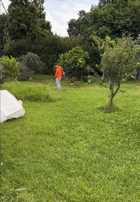 新西兰华人夫妻：“开发商，未经允许砍我家后墙”！对方回怼：“一铲子惹上硬茬”......（组图） - 2