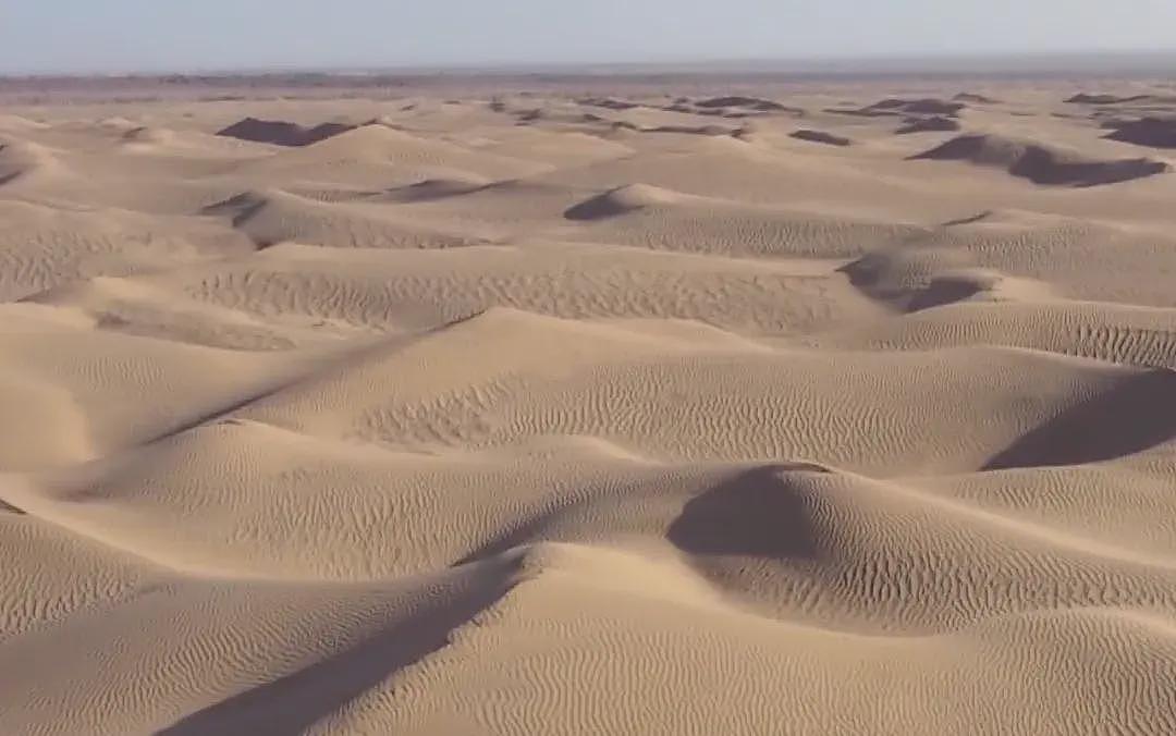 中国人在沙漠种的10万株玫瑰,开花了!网友:顶级浪漫,却看得泪目(组图) - 4