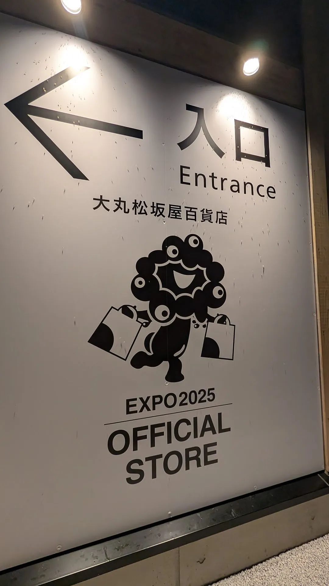 密密麻麻！大阪世博会蚊虫满天飞满地爬，法国馆展品都爬满了，游客一张嘴就吃蛋白质...（组图） - 17