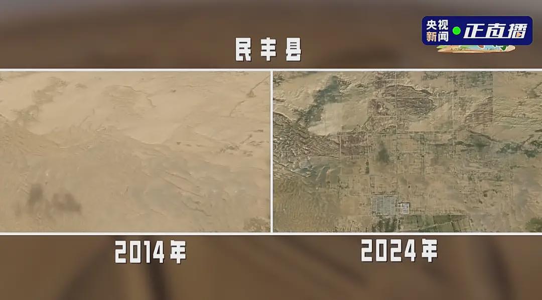 中国人在沙漠种的10万株玫瑰,开花了!网友:顶级浪漫,却看得泪目(组图) - 6