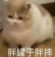 【爆笑】对蜜桃臀美女祛魅了！好一个超绝性缩力！谁能想到穿上外裤之后，里面是这么作弊的....（组图） - 8