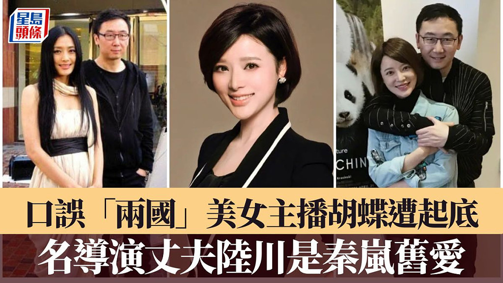 央视美女主播胡蝶播报口误“两国”遭起底!导演丈夫陆川是秦岚旧爱(组图) - 1