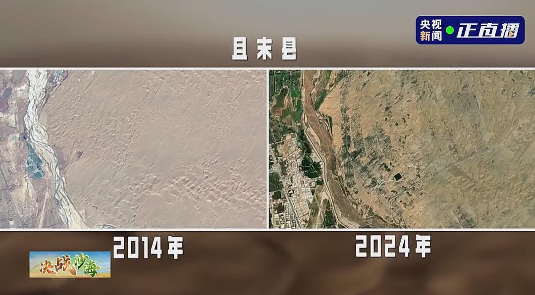 中国人在沙漠种的10万株玫瑰,开花了!网友:顶级浪漫,却看得泪目(组图) - 5