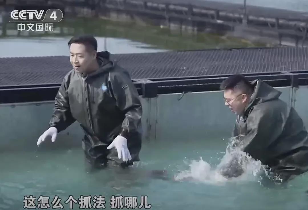 中国顶流大厨，为何被MCN追着泼脏水？（组图） - 27