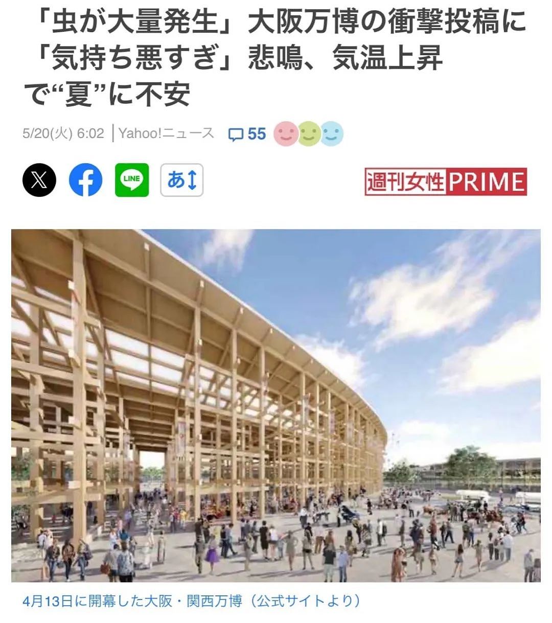 密密麻麻！大阪世博会蚊虫满天飞满地爬，法国馆展品都爬满了，游客一张嘴就吃蛋白质...（组图） - 1