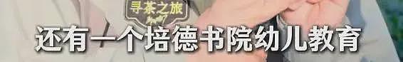 李亚鹏自曝曾是亿万富翁，做了4个公益机构，欠债还在还，没贷款（组图） - 15