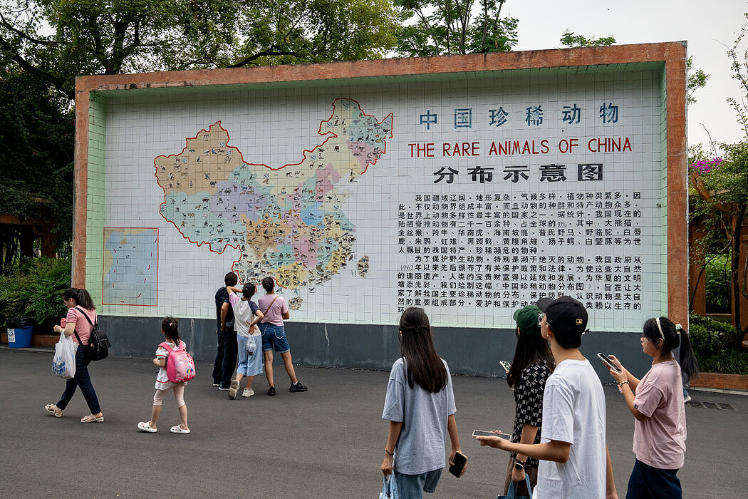 成都为何成了中国“最有幸福感城市”(组图) - 1