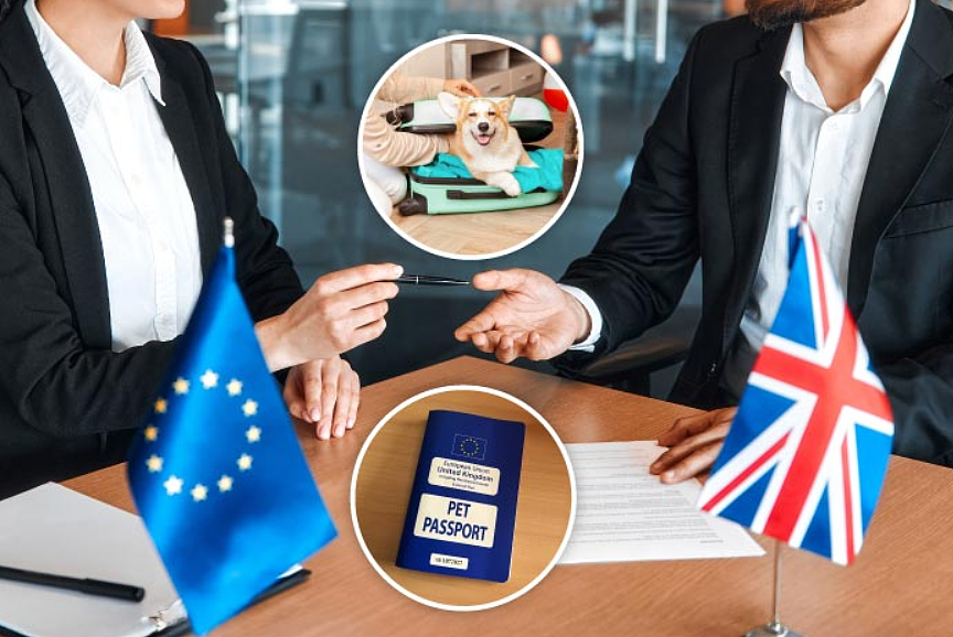 重磅！英国或将重回欧盟？英欧签下重磅协议，中国留学生恐难逃牵连（组图） - 13