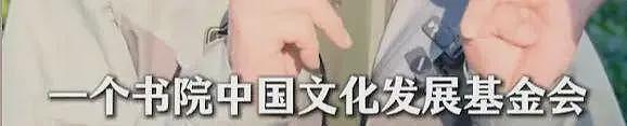 李亚鹏自曝曾是亿万富翁，做了4个公益机构，欠债还在还，没贷款（组图） - 14
