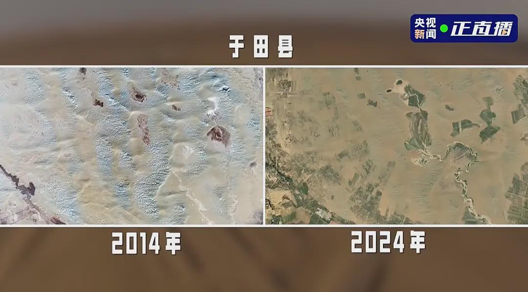 中国人在沙漠种的10万株玫瑰,开花了!网友:顶级浪漫,却看得泪目(组图) - 7