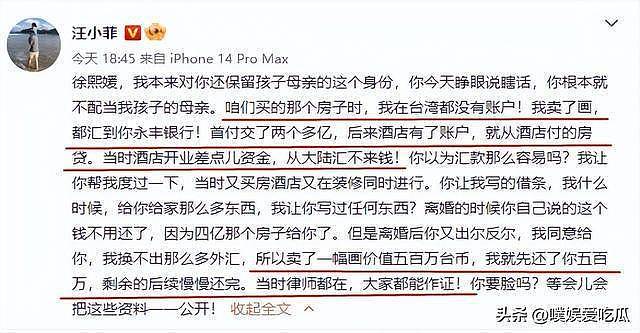 聊天记录被曝光,S妈透露汪小菲欠债更多细节(组图) - 12