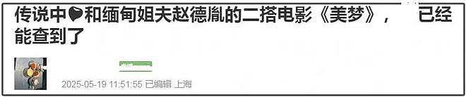 赵丽颖恋情曝光后首现身,粉发被吐槽像精神小妹,秀美背力挽狂澜(组图) - 14