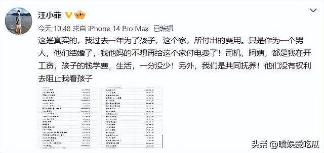 聊天记录被曝光,S妈透露汪小菲欠债更多细节(组图) - 7
