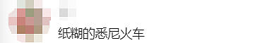 全城崩溃！悉尼几乎瘫痪24小时，所有人都在骂！刚刚，州长官宣了...（组图） - 17