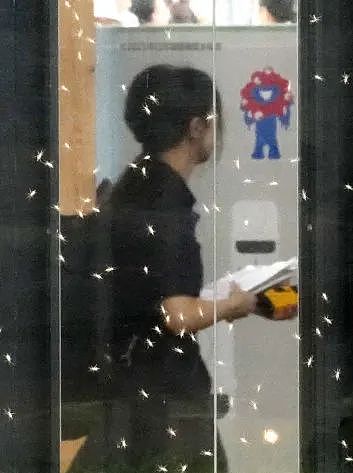 密密麻麻！大阪世博会蚊虫满天飞满地爬，法国馆展品都爬满了，游客一张嘴就吃蛋白质...（组图） - 34